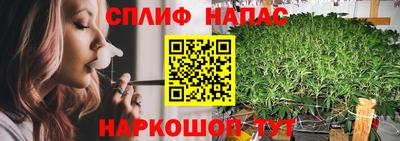 дмт Апшеронск