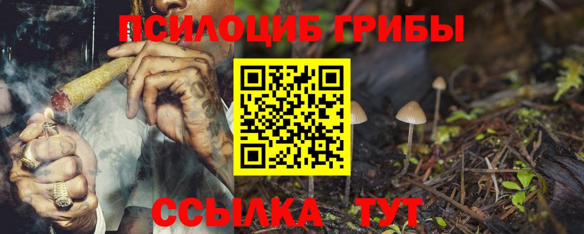 Большой Камень  Псилоцибиновые грибы GOLDEN TEACHER  Вход с VPN 